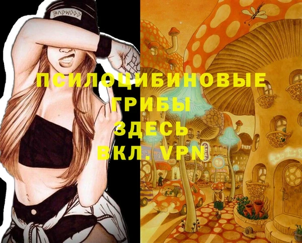 первитин Лихославль
