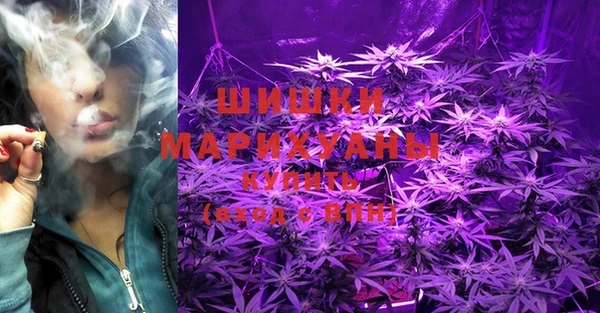 spice Магас