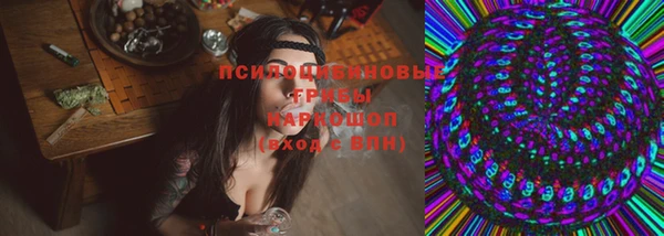 spice Магас